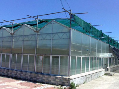 陽(yáng)光板溫室